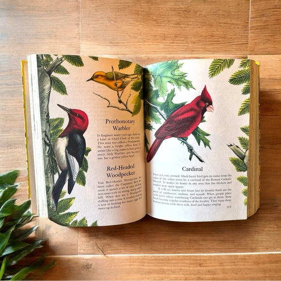 Vintage 1974 Children’s Guide to Knowledge Hardcover Book – Parents’ Magazine - Picture 14 of 16